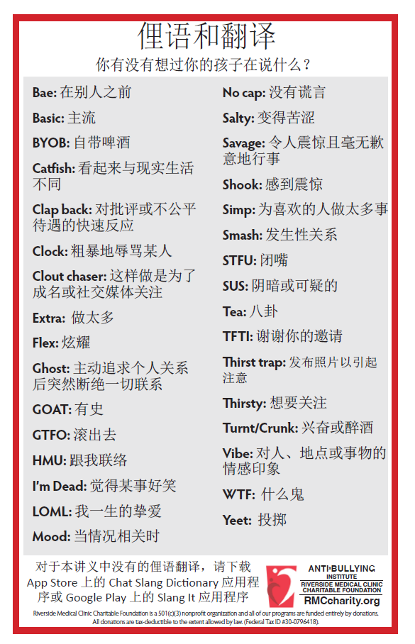 Popular Slang (Chinese)